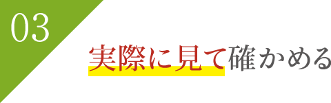実際に見て確かめる 実際に見て確かめる